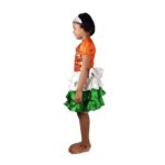 Republicday Tiranga frock