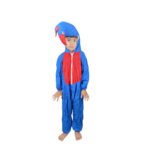 Peacock Bird Fancy Dress Costume