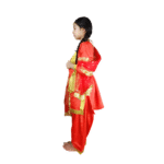 Punjabi Fancy Dress - Image 2