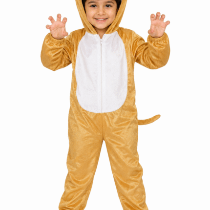 Lion Fancy Dress